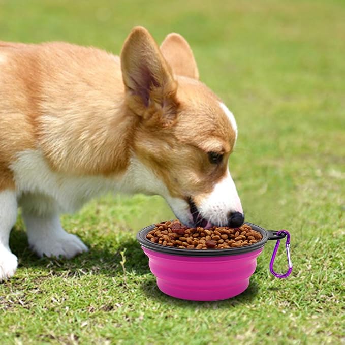 Dog Bowl Pet Collapsible Bowls 2 Pack 2 Carabiners
