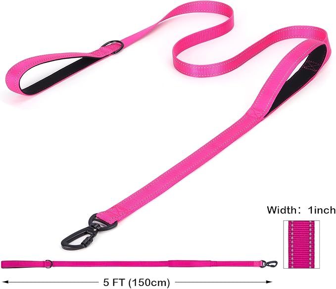 Martingale Dog Collar with Stainless Steel Chain and Leash Set 5FT Double