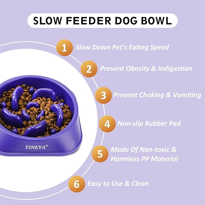 2Pcs Dog Puzzle Bowl Dog Feeder
