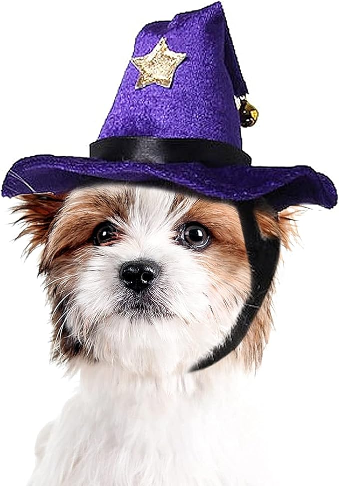 NAMSAN Cat Witch Hat