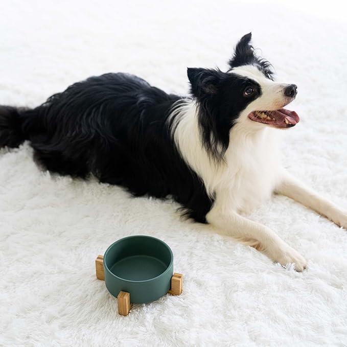 SPUNKYJUNKY Ceramic Dog and Cat Bowl Set with Wooden Stand (13.5OZ) & (28.7OZ) & (7.6 Cups, Green×1)