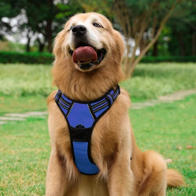 rabbitgoo Dog Harness 2 Leash
