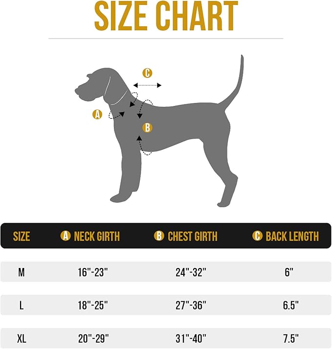 Dog Harness