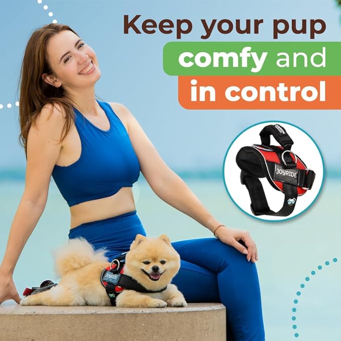 Joyride Harness 2.0 3 Leash