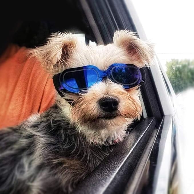 ENJOYING Dog Sunglasses Small Dog Goggles Anti-UV Doggy Glasses for Small Dogs Big Cats Impact/Wind/Dust/Fog Proof Puppy Eye Protection