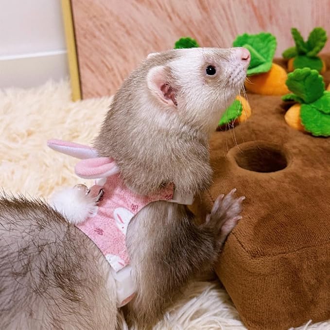 Ferret Harness and Leash Set with Bell Ferret