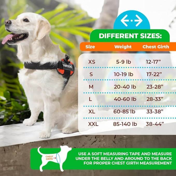 Joyride Harness 2.0 3 Leash