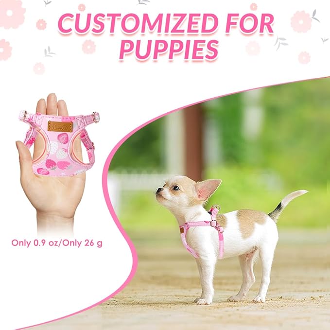 SlowTon No Pull Dog Harness with Leash