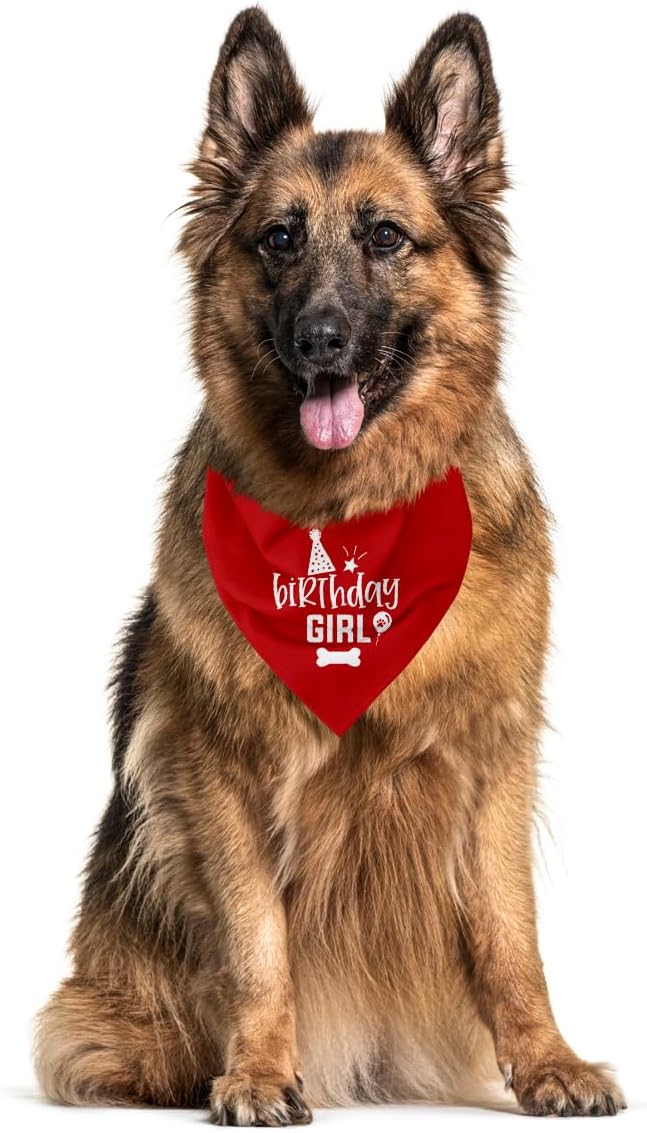 Birthday Girl Dog Bandanas, Dog Birthday Bandana, Birthday Bandana for Small Medium Dog, Pet Accessories for Dog, Happy Birthday Dog Bandana for Girls, Dog Birthday Party Supplies, Pet Scarf (B23)