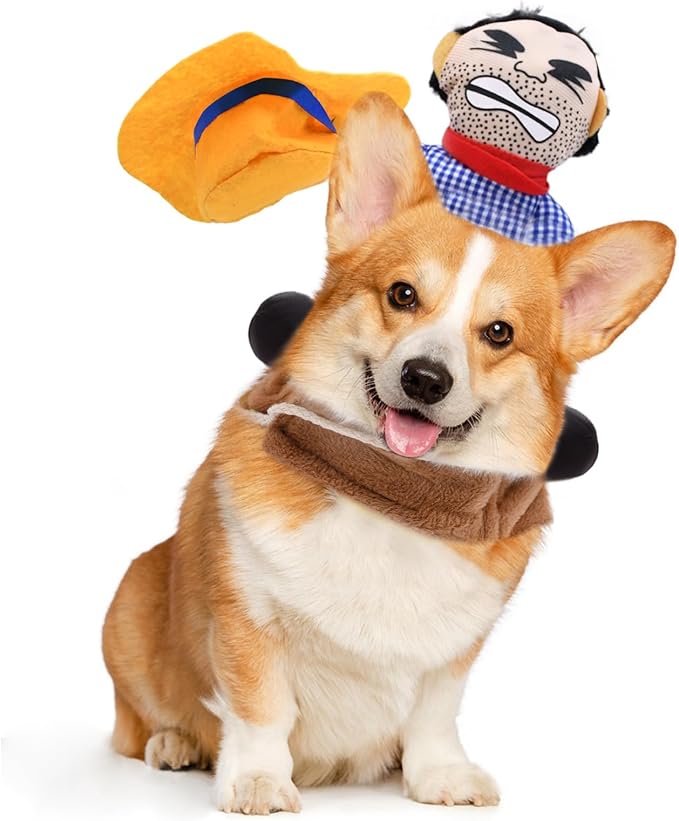 Funny Cowboy Rider Dog Costume