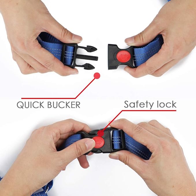 Dog Seat Belt 2019 New