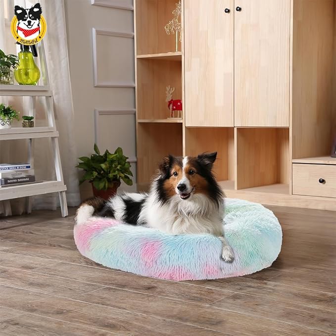 Cat Beds for Indoor Cats 20/24 inches,