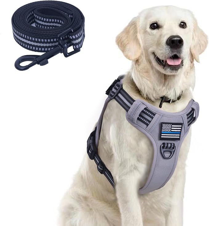 BUMBIN Tactical Dog Harness for Large Dogs No Pull with Dog Leash
