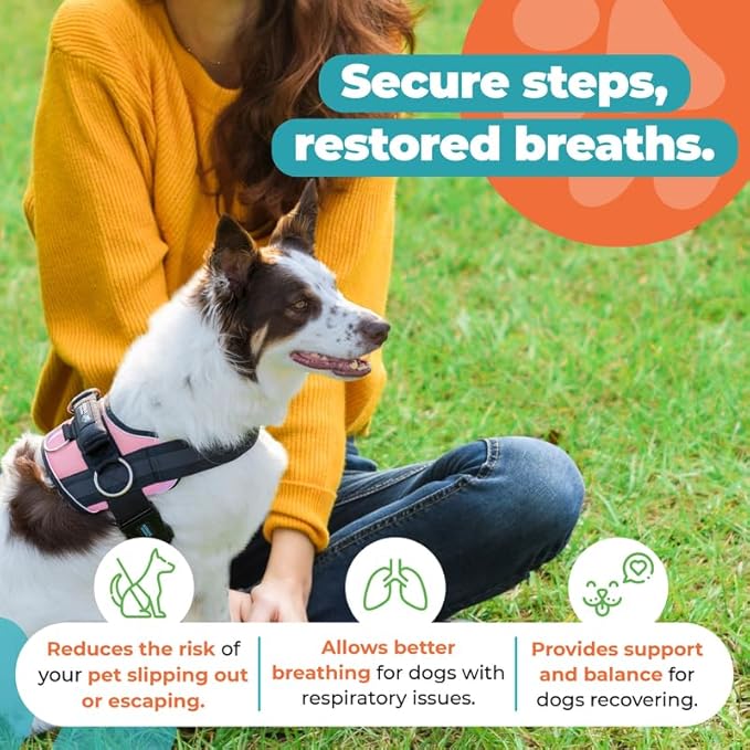 Joyride Harness 2.0 3 Leash