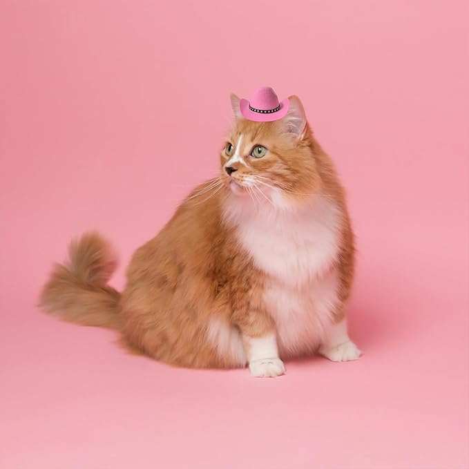 Dog Cowboy Hat Cat Cowboy Hat Mini Cowboy Hat for Dogs Cat Pet Cowboy Costume with Bandana Scarf Holiday Halloween Pet Party Decoration (pink