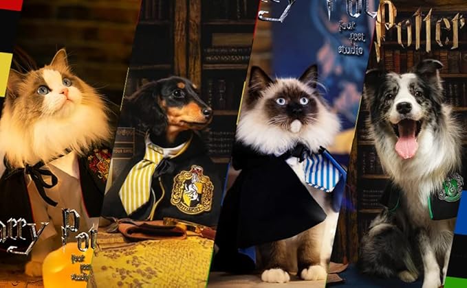 Cat Costumes 3 Piece Set with Glasses and Neckties