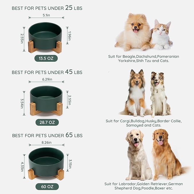 SPUNKYJUNKY Ceramic Dog and Cat Bowl Set with Wooden Stand (13.5OZ) & (28.7OZ) & (7.6 Cups, Green×1)