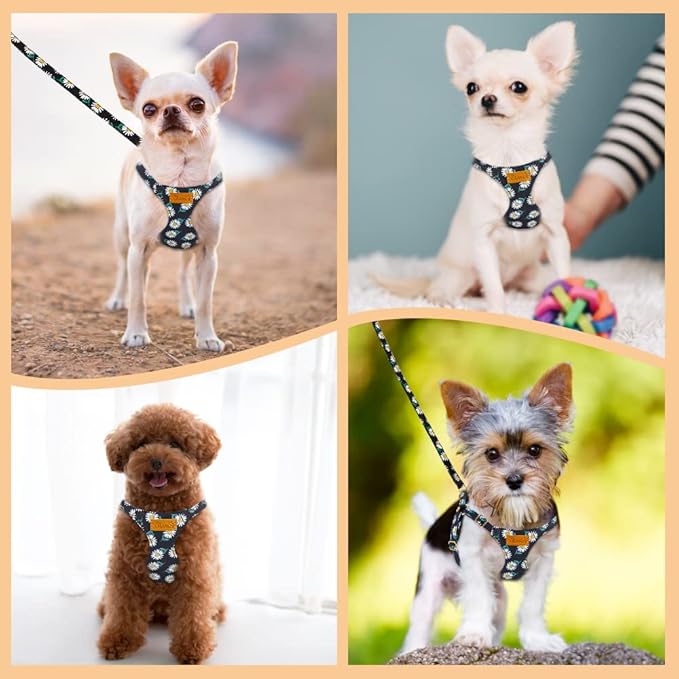 SlowTon No Pull Dog Harness with Leash