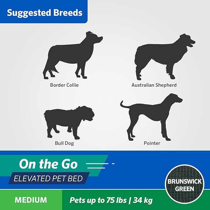 Coolaroo On The Go Cooling Elevated Dog Bed