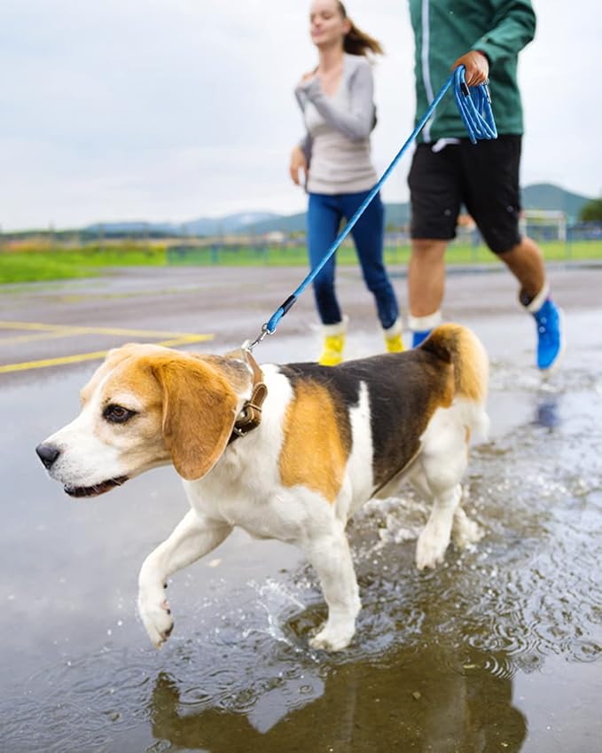 100FT Extra Long Leashes for Dog Training