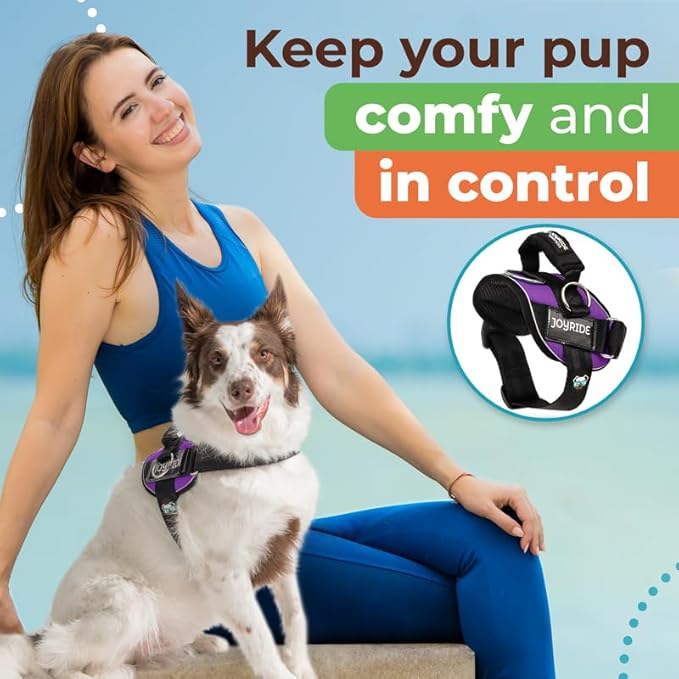 Joyride Harness 2.0 3 Leash