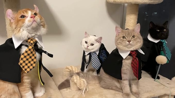 Cat Costumes 3 Piece Set with Glasses and Neckties
