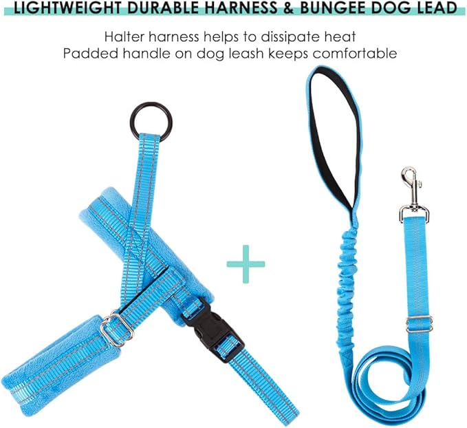 Lukovee Dog Harness and Leash Set 4ft Lightweight