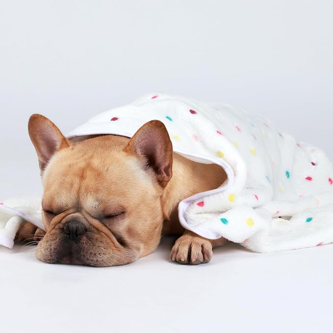 1 Pack 3 Blankets Super Soft Cute Dot Pattern Pet Blanket Flannel Throw for Dog Puppy Cat Dot (Large(41x31)