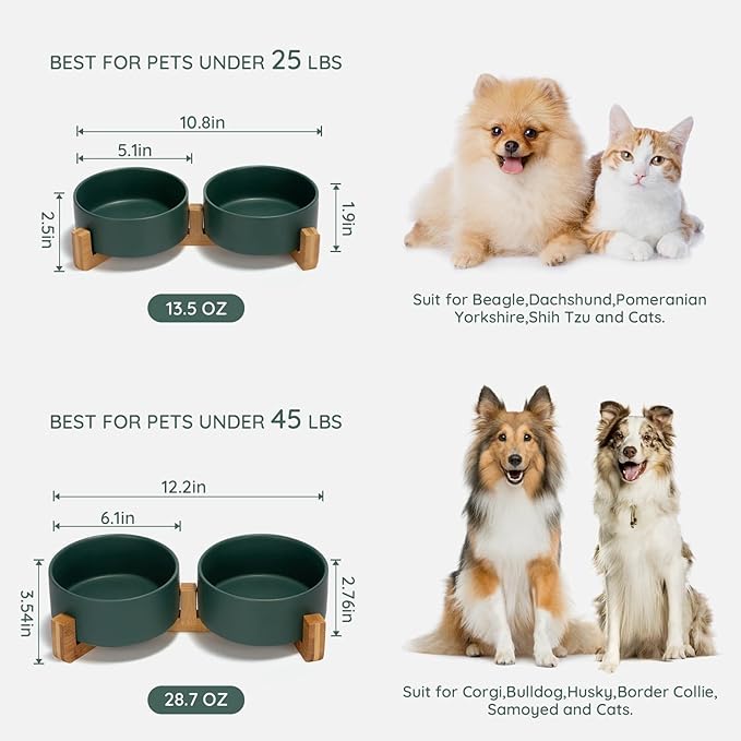 SPUNKYJUNKY Ceramic Dog and Cat Bowl with Wood 13.5 OZ