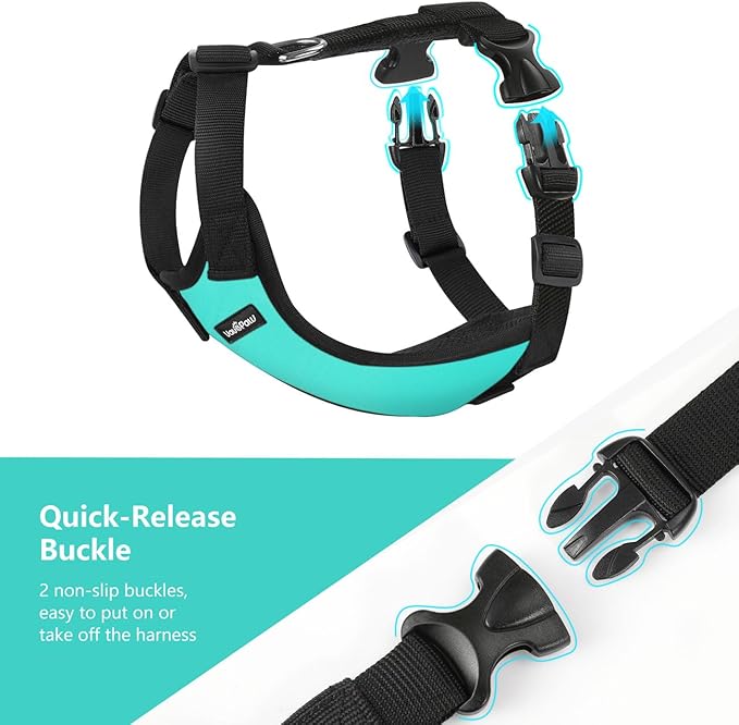 Dog Vehicle Safety Vest Harness