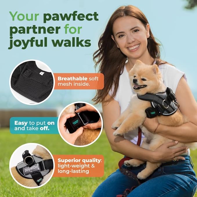 Joyride Harness 2.0 3 Leash