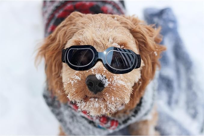ENJOYING Dog Sunglasses Small Breed