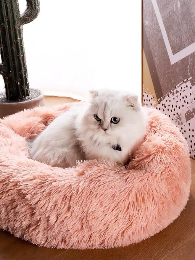 Small Cat Beds for Indoor Cats 16 inches, 5lbs)