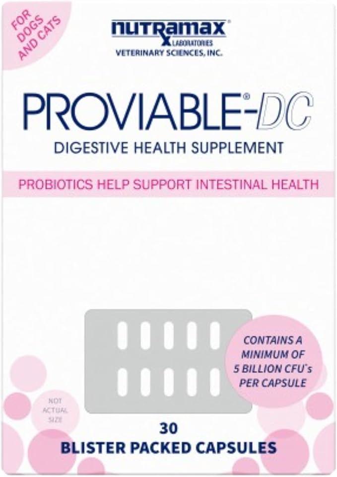Nutramax Proviable Digestive Health Supplement Multi-Strain Probiotics and Prebiotics for Cats and Dogs 7 Strains 30 Capsules