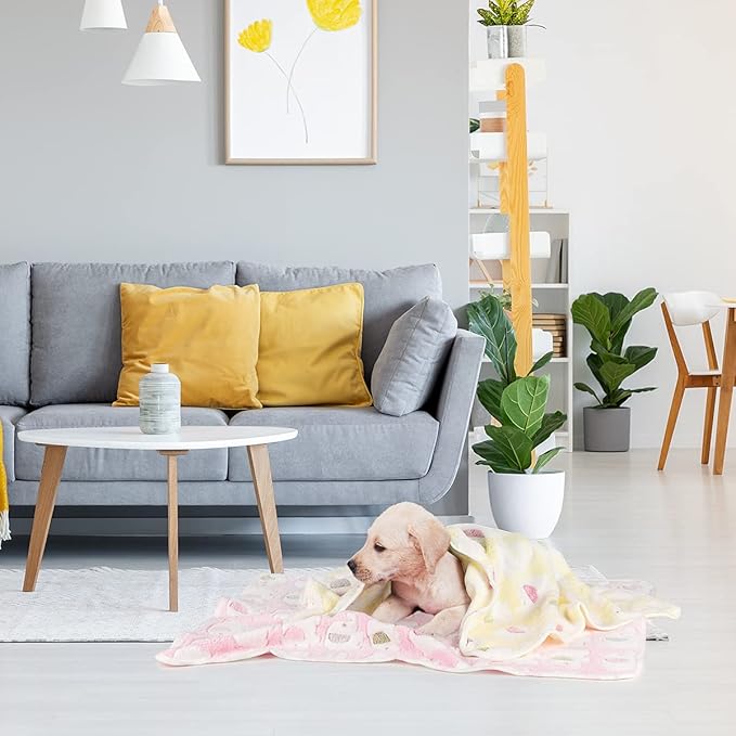 Dono 1 Pack 3 Dog Blankets