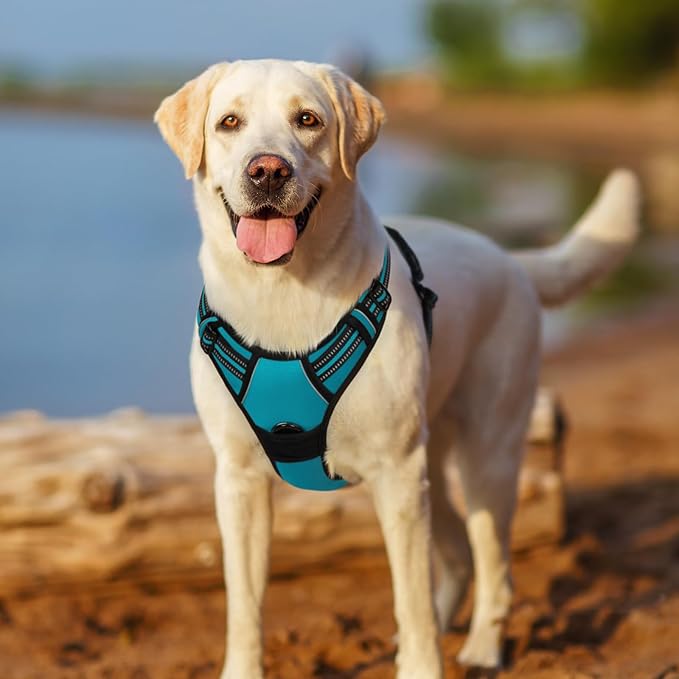 rabbitgoo Dog Harness 2 Leash