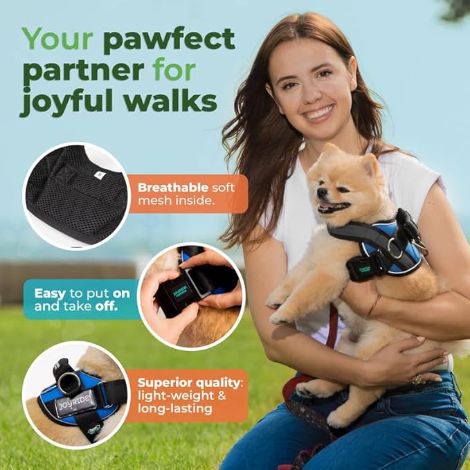Joyride Harness 2.0 3 Leash