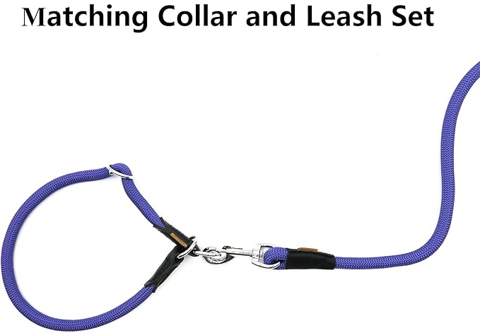 Dog Leash ((1/2") - 6FT, Purple)
