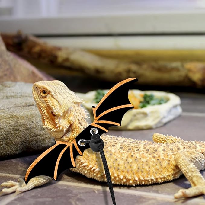 Zayookey Bearded Dragon Carrier Leather Leash Set Lizard Adjustable Harness Leash (S,M,L, 3 Pack) Reptile Small Pet Backpack Bearded Dragon Training Leashes for Outdoor Travel