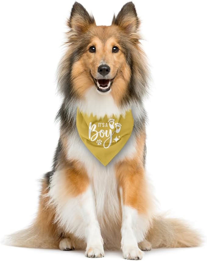 It's A Boy Dog Bandana, Yellow Dog Bandana, Gender Reveal Dog Bandana, Dog Bandana Pregnancy Announcement, Dog Bandana for Small Medium Large Dog, Pet Dog Triangle Scarf, Gift for Dog Lover (E58)