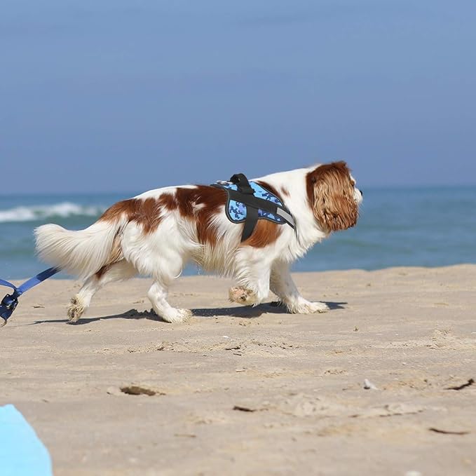 Bolux Dog Harness