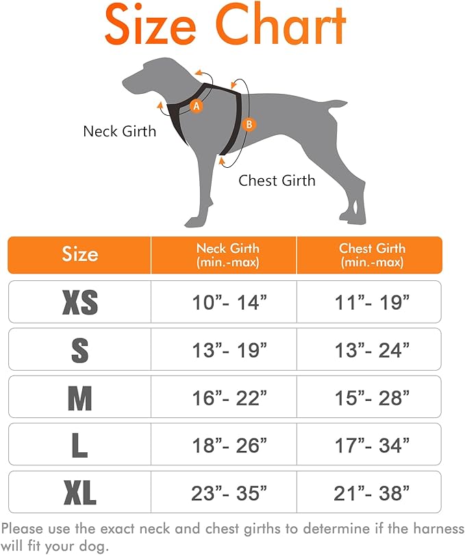 rabbitgoo Dog Harness 2 Leash