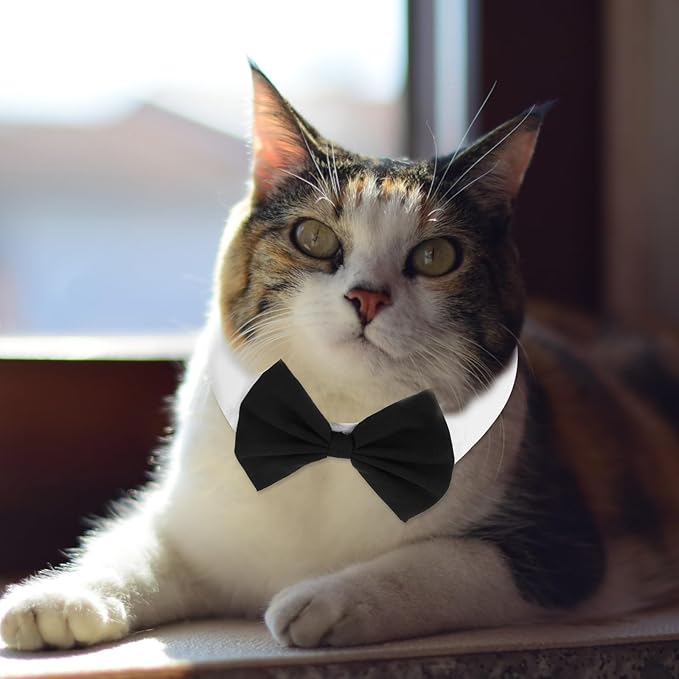 4Pcs Pet Bow Tie Adjustable White Dog Collar with Formal Classy Stripped Neck Tie Dog Tie Puppy Grooming Ties Party Accessories for Small Dogs and Cats (S