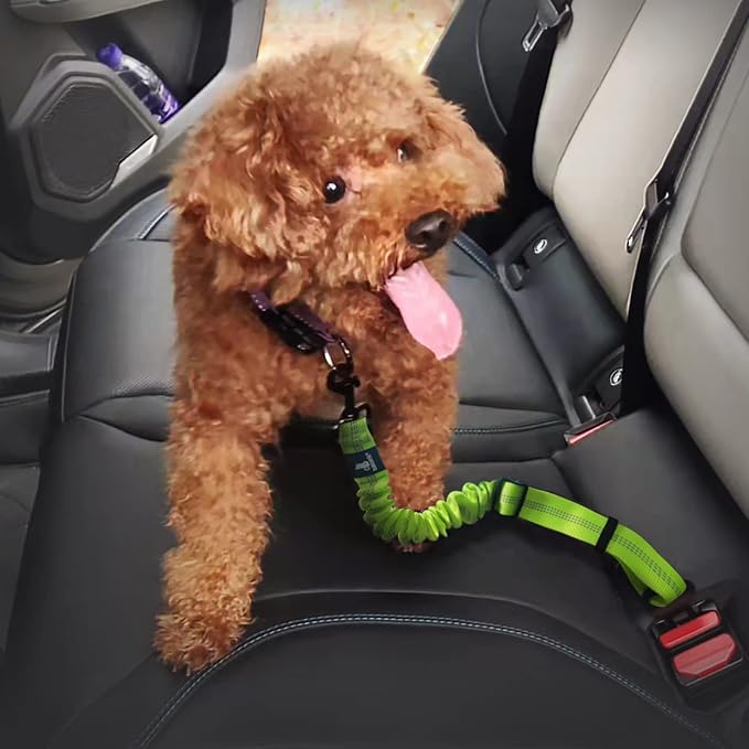 Dog Seat Belt (2 Piece/Green)