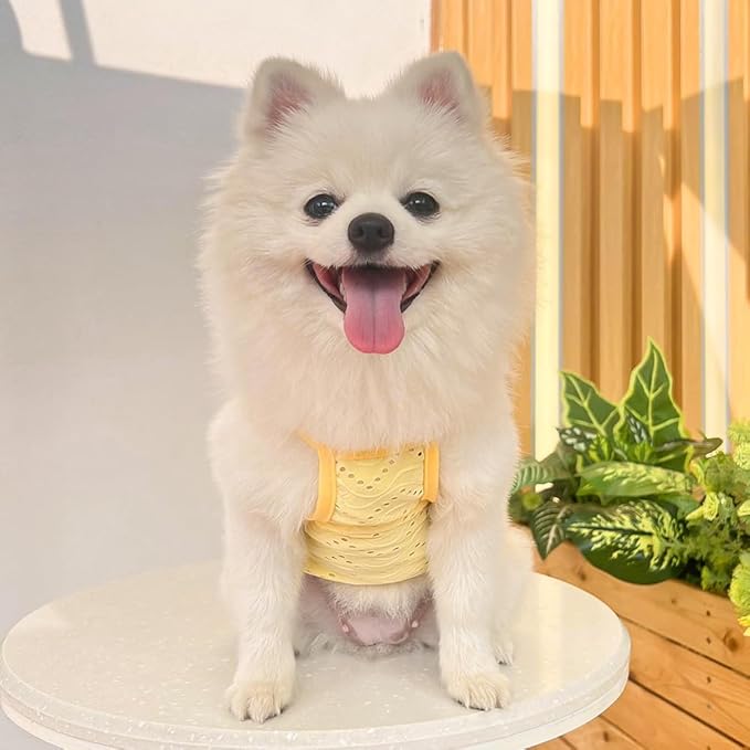Yanmucy 2 Pieces Dog Summer Clothes Cute Embroidery Dog Striped Tank Top Vest Breathable Puppy Sleeveless Shirt for Small Dogs Cats (Yellow+Green, Medium)