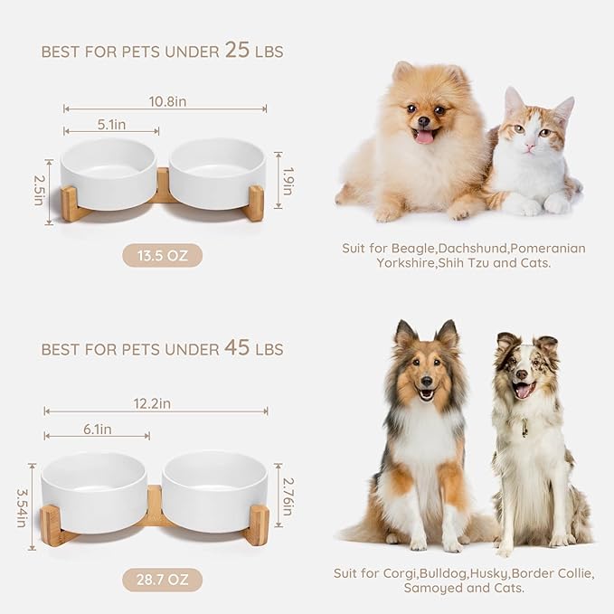 SPUNKYJUNKY Ceramic Dog and Cat Bowl with Wood 13.5 OZ