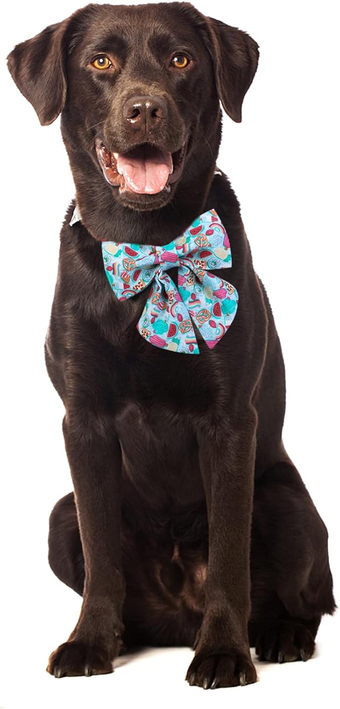 Maca Bates Summer Dog Collar with Fruit Icecream