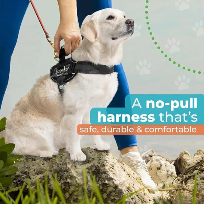 Joyride Harness 2.0 3 Leash