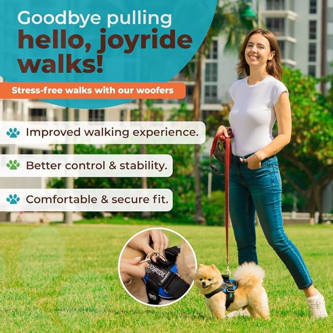 Joyride Harness 2.0 3 Leash