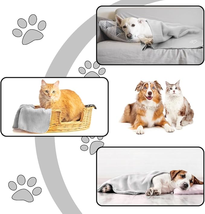 Puppy Dog Blanket 6 Pack 39 x 31 inches)